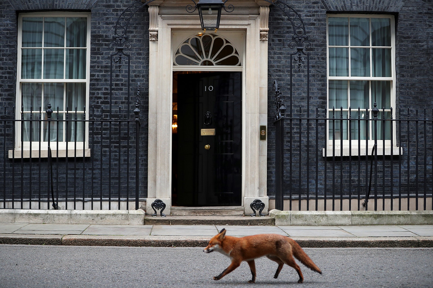 Um &quot;visitante&quot; passa pela resid&ecirc;ncia oficial da primeira-ministra inglesa em Downing Street /Hannah Mckay - Reuters 
