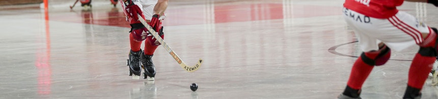 Imagem de FC Porto, Sporting e Benfica seguem vitoriosos na `Champions` de hóquei