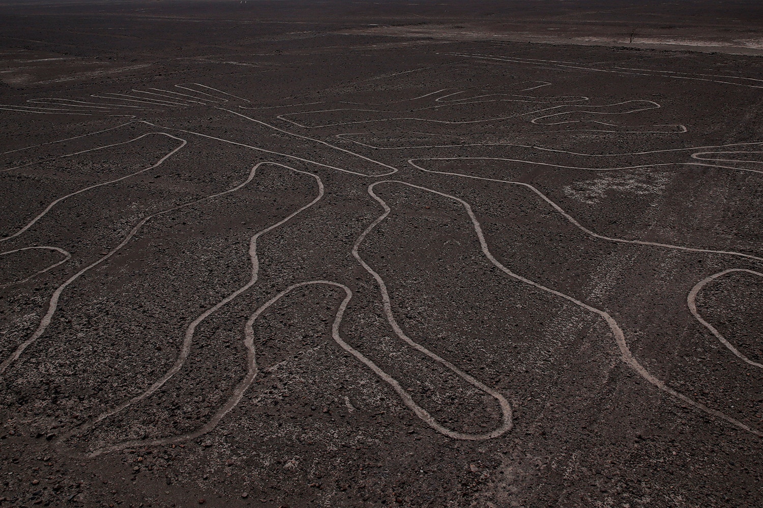  Carlos Jasso - Reuters 