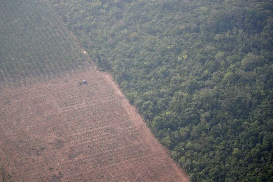 Brasil contra decisão europeia de proibir importação de produtos de terras desmatadas - Vimarsana News