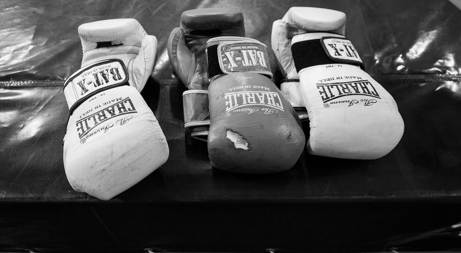  Foto: Rodrigo Lobo - RTP 