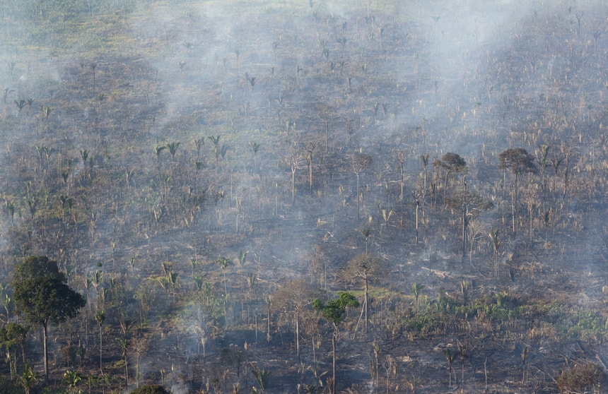 Queimadas da floresta do Amazonas
