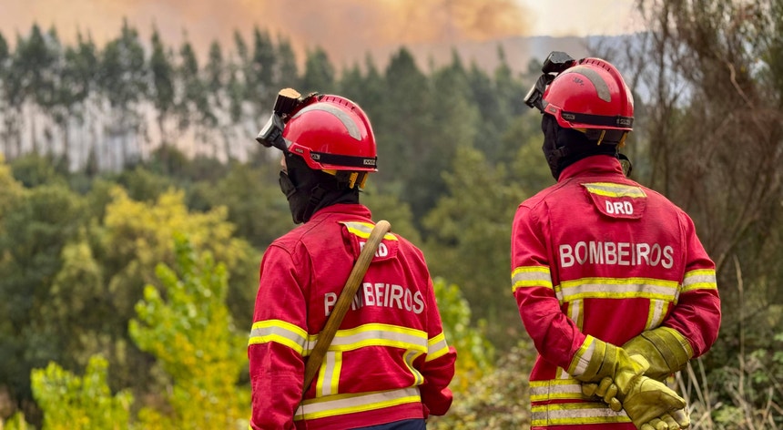 Massive Wildfires Rage in Viseu: Hundreds of Firefighters Battle Blazes, Five Injured in Intense Combat