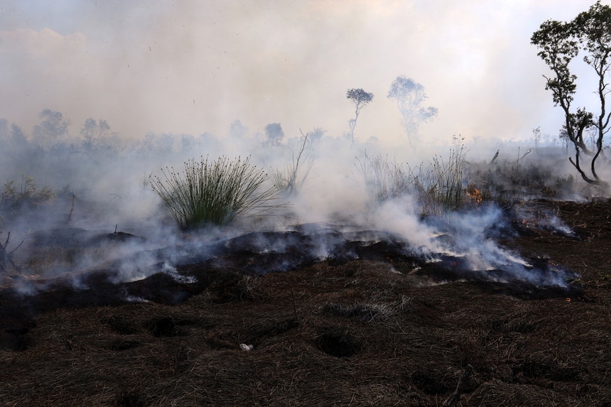 Na comparação com fevereiro de 2023, o número de incêndios registado em fevereiro de 2024 é quatro vezes maior. 
