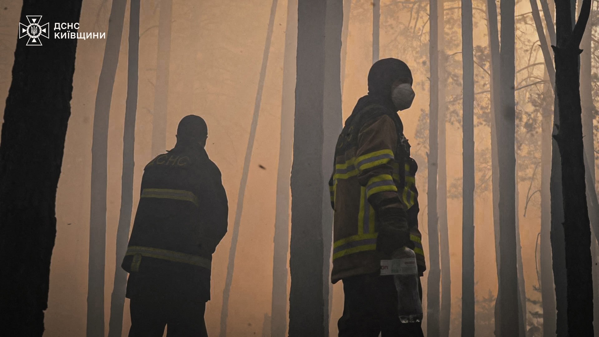 O perigo invisível do fumo dos incêndios florestais