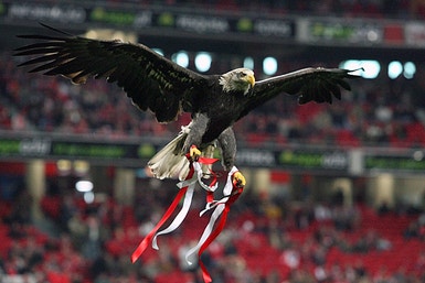 Mafra-Benfica, 0-1: águia voa à altura mínima - Liga Revelação