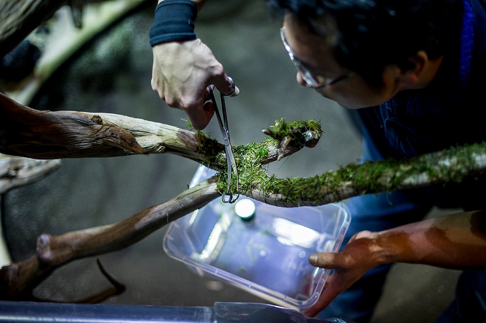  Pedro A. Pina / Ocean&aacute;rio  