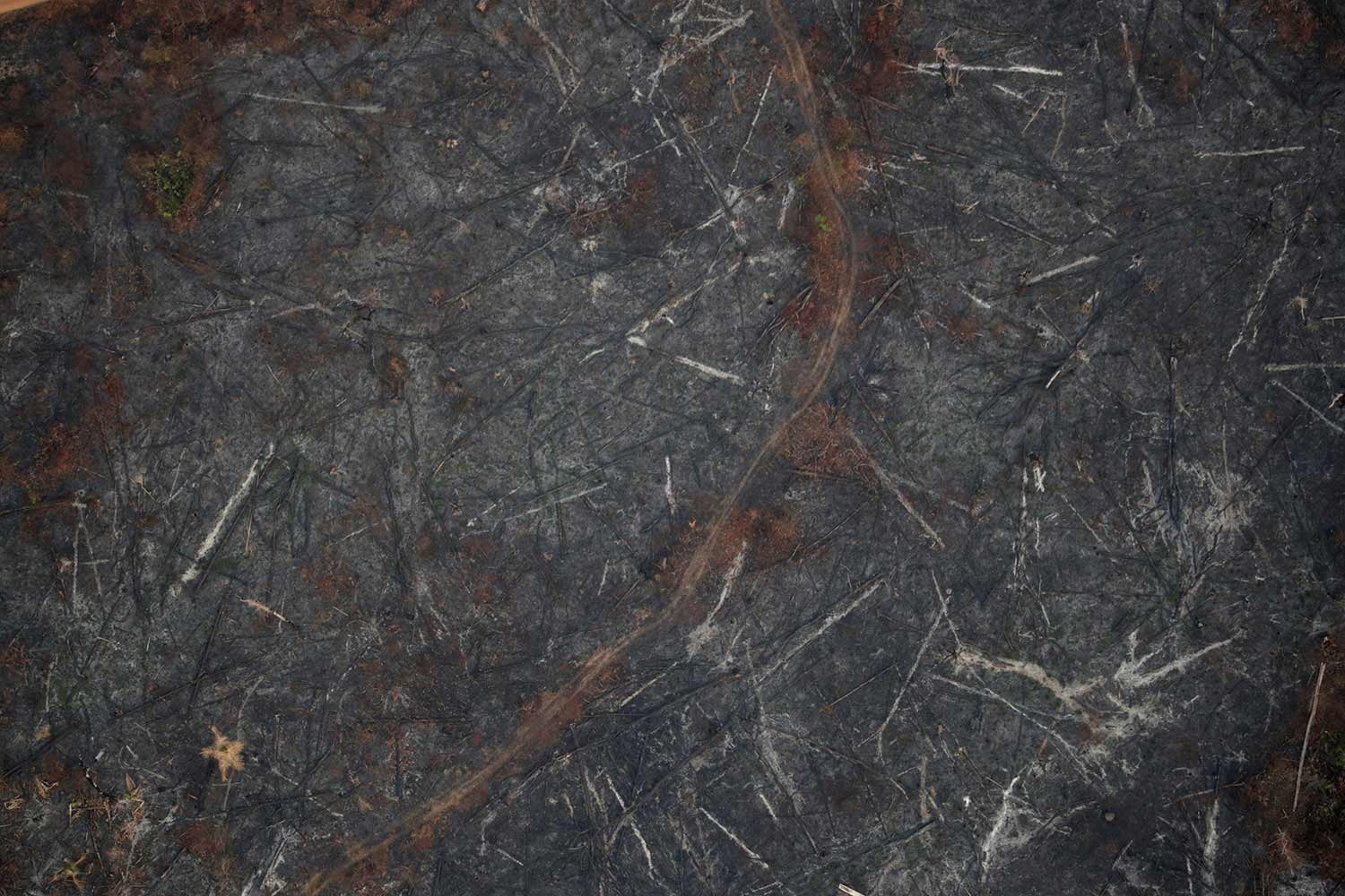  Ueslei Marcelino - Reuters 