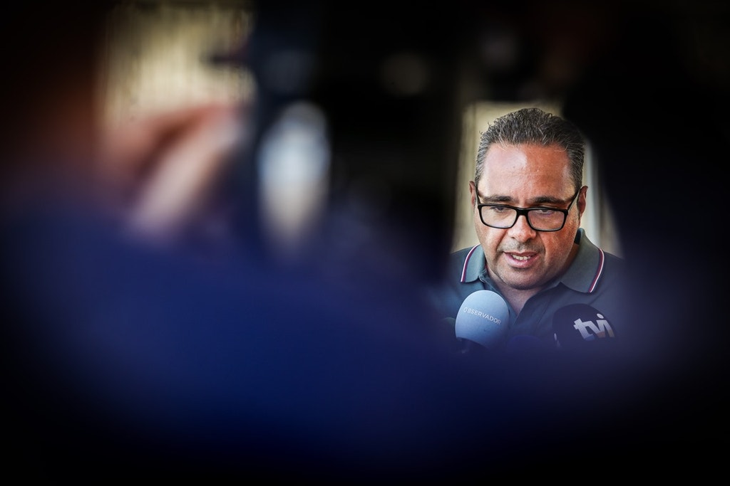 Imagem ilustrativa: Pardal em foco