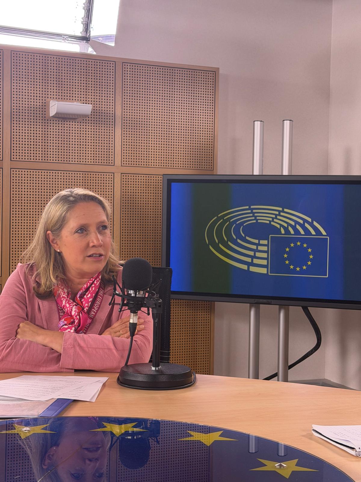 Combate à desinformação. "O tempo da impunidade acabou", garante a porta-voz do Parlamento Europeu, Delphine Colard