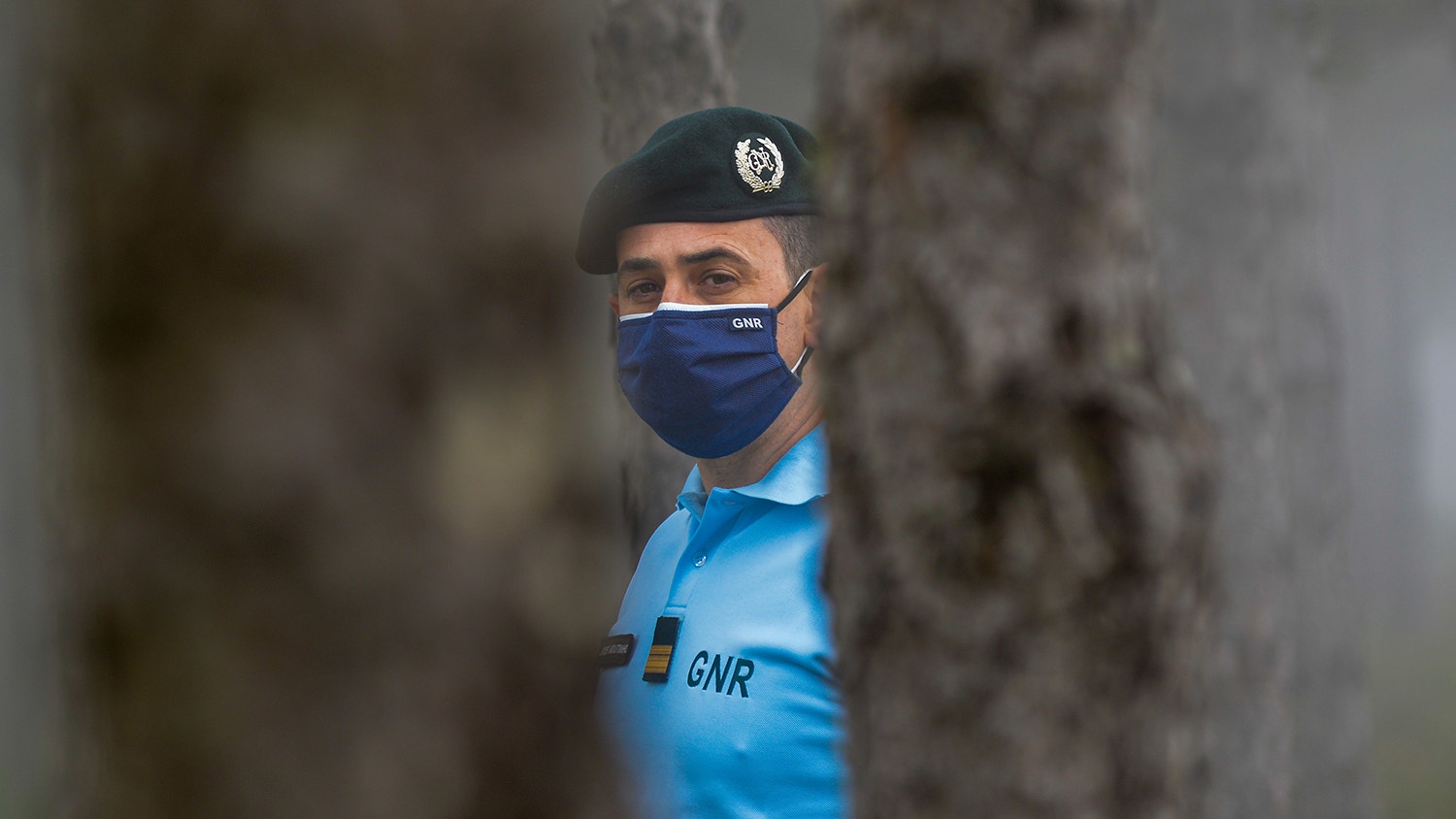  Foto: David Ara&uacute;jo - RTP 