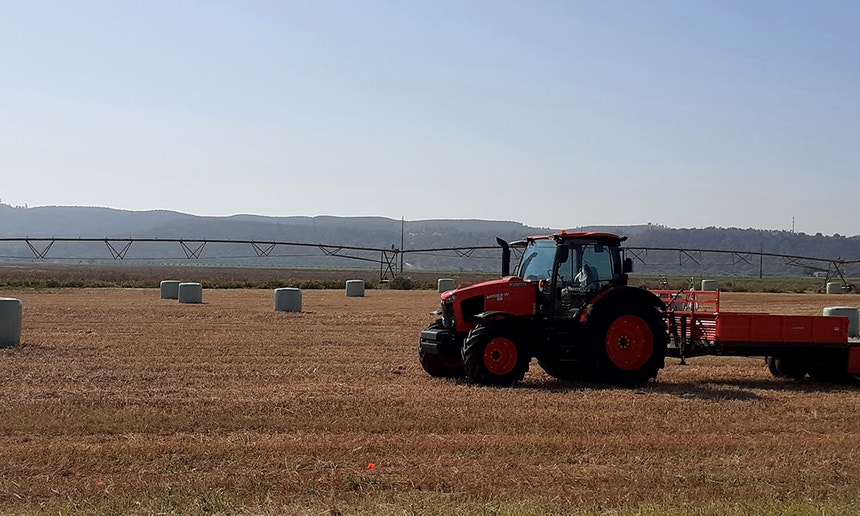 Imagem de Bruxelas atribui 30 milhões em apoio aos agricultores portugueses