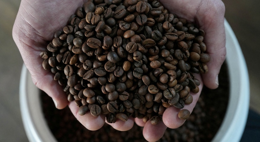 Imagem ilustrativa: Produção de café em risco devido ao aquecimento global