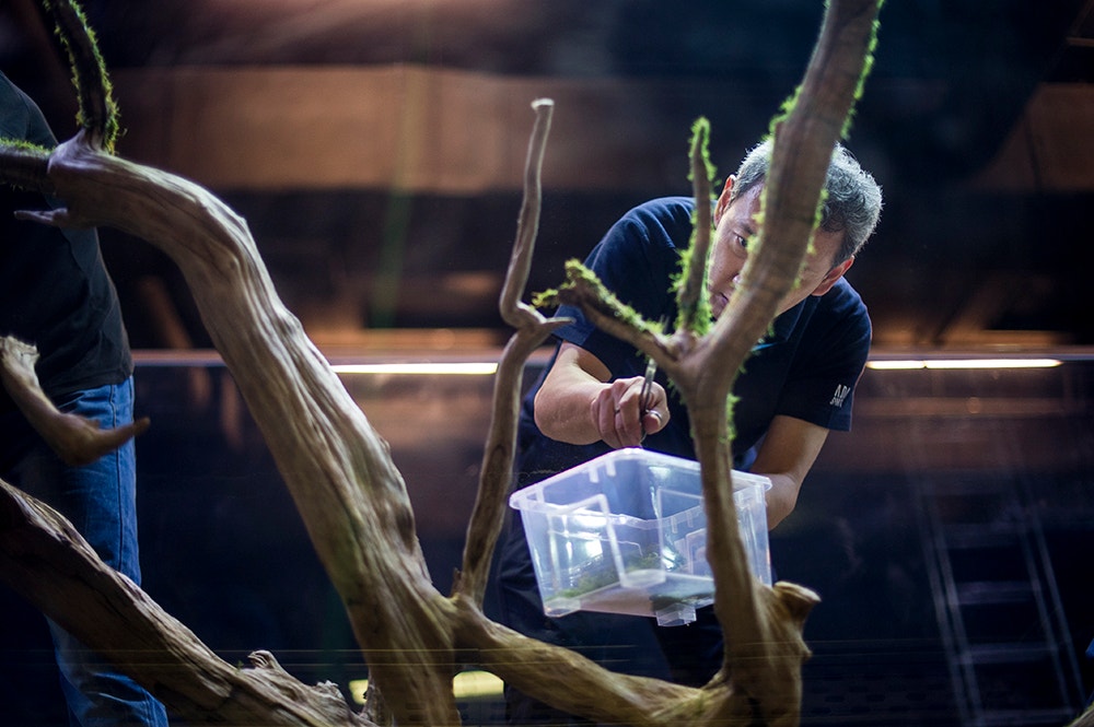  Pedro A. Pina / Ocean&aacute;rio  