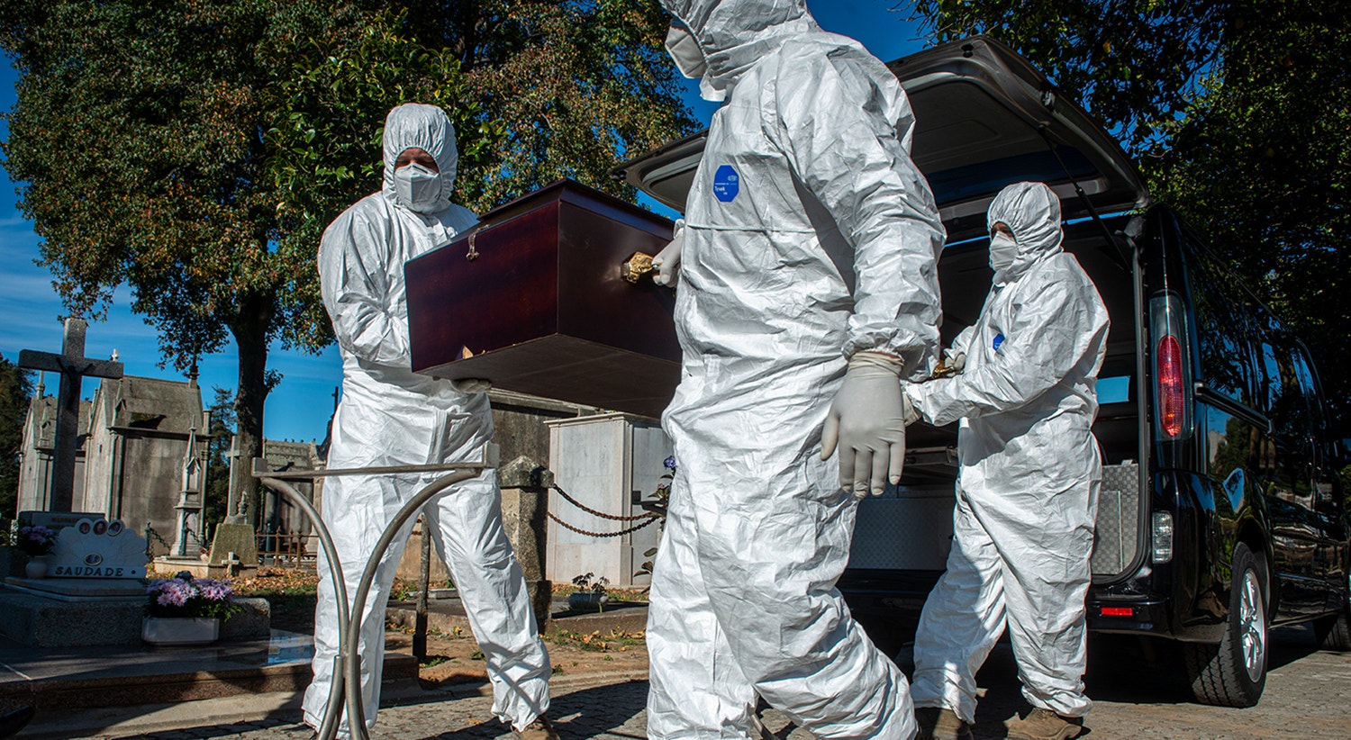  Foto: David Ara&uacute;jo - RTP  