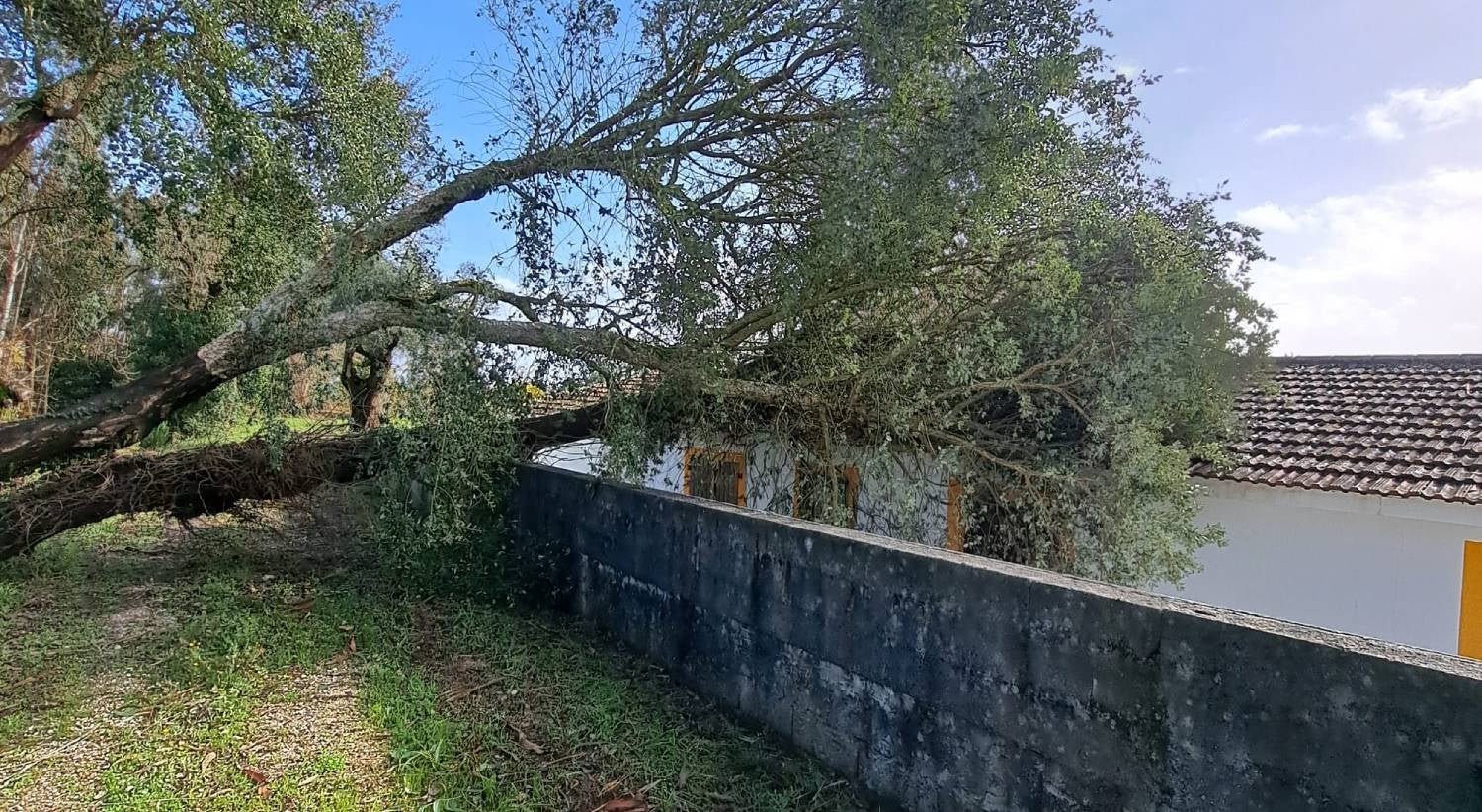 Tempestades de janeiro e fevereiro fecharam mais de 300 escolas