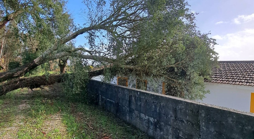 Imagem de Tempestades de janeiro e fevereiro fecharam mais de 300 escolas
