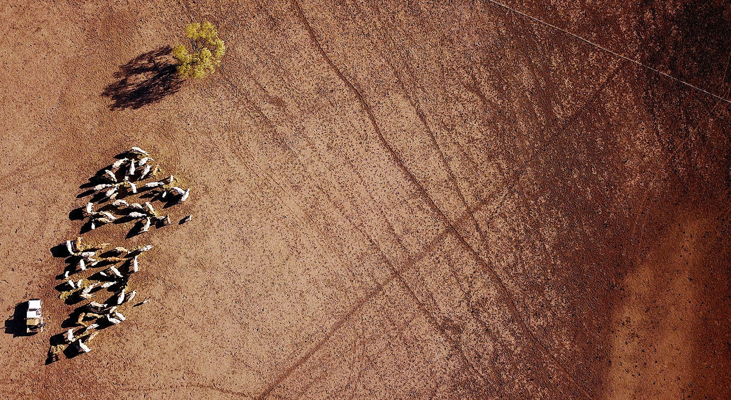  David Gray - Reuters 