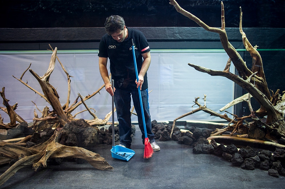  Pedro A. Pina / Ocean&aacute;rio  