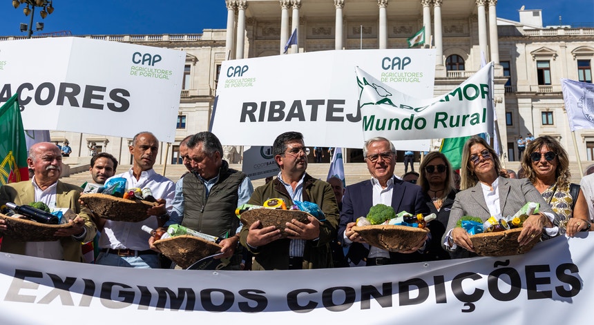 Imagem de Agricultores protestam junto ao Parlamento