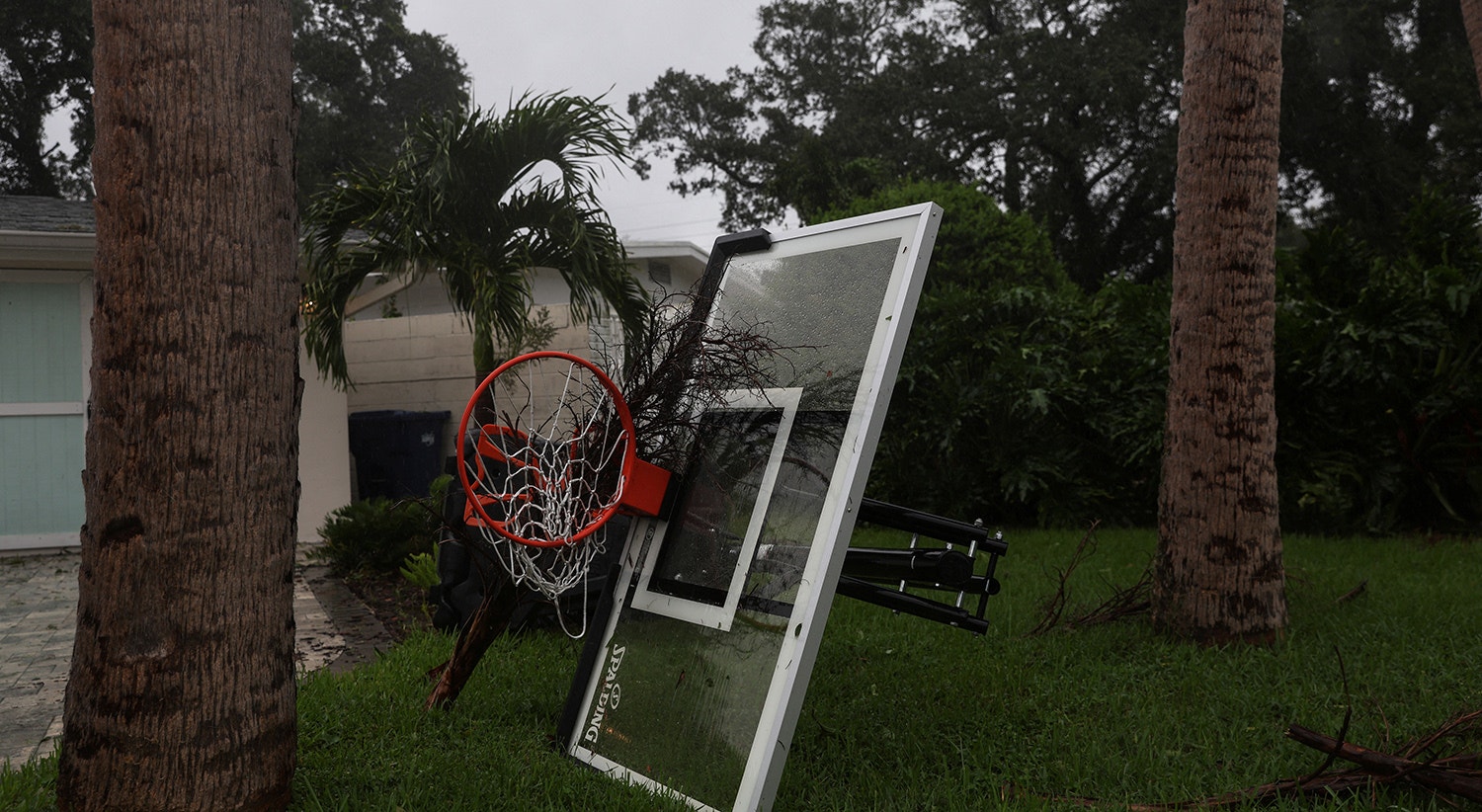  Shannon Stapleton - Reuters 