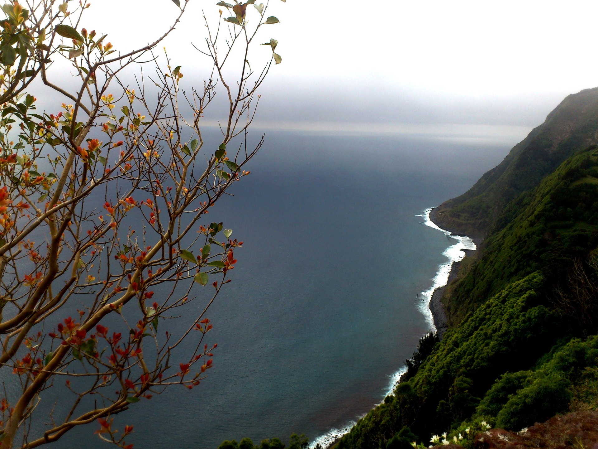  Enviada por Jo&atilde;o Fernandes 