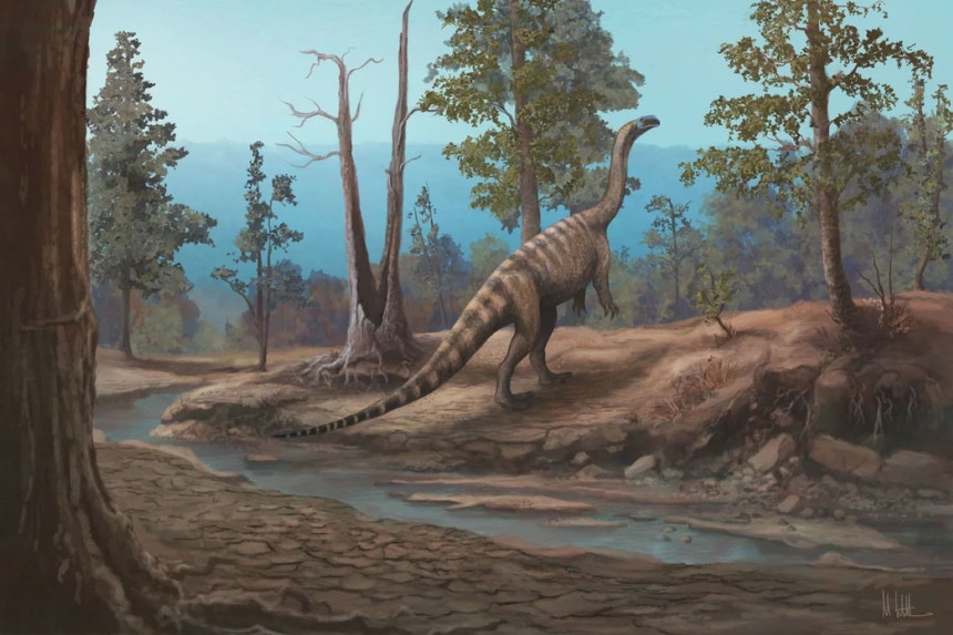 Imagem ilustrativa: Musango matusadonaensis. Novo dinossauro descoberto no Zimbabué reforça potenci
