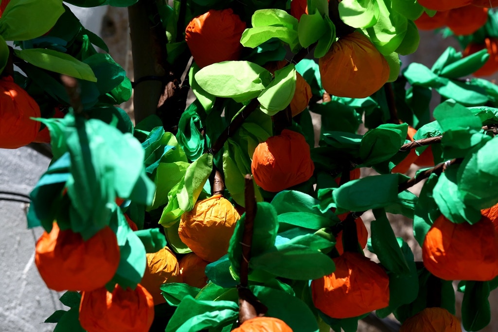  Nuno Patr&iacute;cio - RTP 