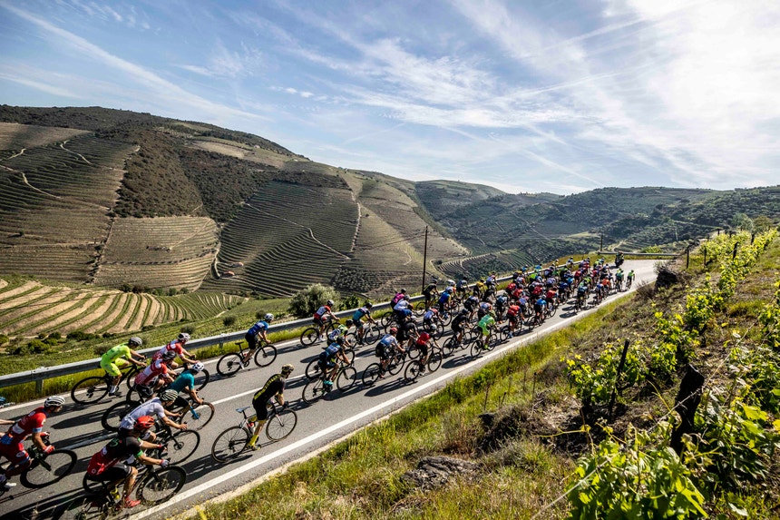 Imagem de Rui Costa e Pepe encabeçam pelotão este domingo no  Love Tiles Douro Granfondo