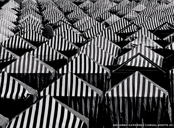  Enviado por Eduardo M. S. Catarino 