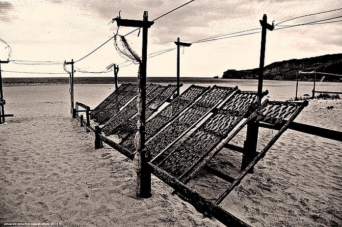  Enviado por Eduardo M. S. Catarino  