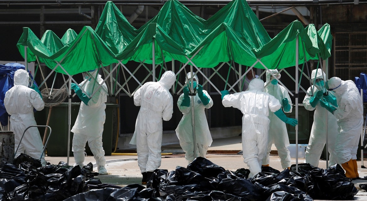  Hong Kong, 2016. Instala&ccedil;&atilde;o para abate de aves infetadas de H7N9, uma estirpe do v&iacute;rus da gripe das aves | Bobby Yip - Reuters 