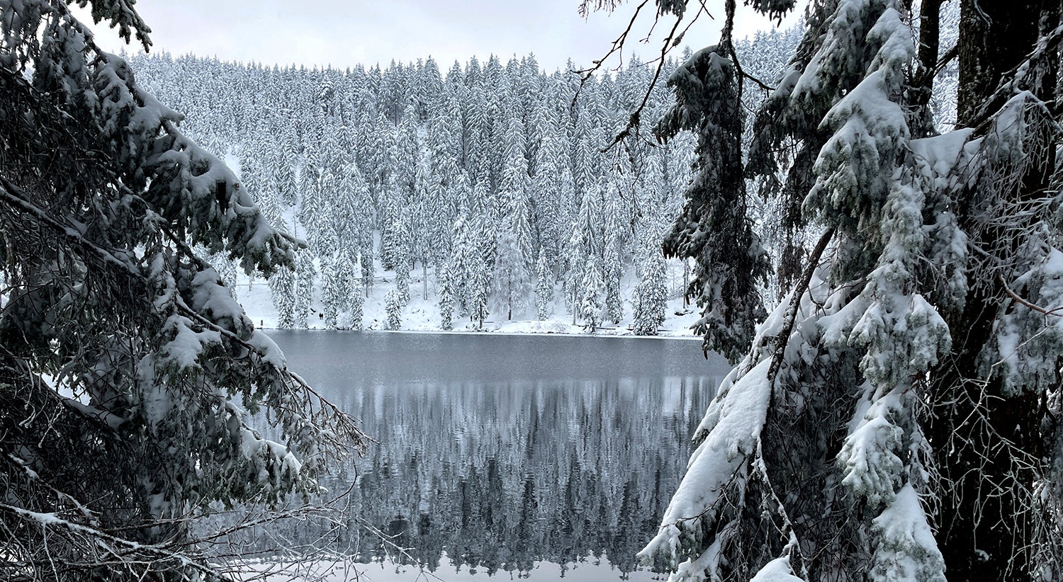  Mummelsee no norte da Floresta Negra, Alemanha | Foto: Christine Uyanik - Reuters 