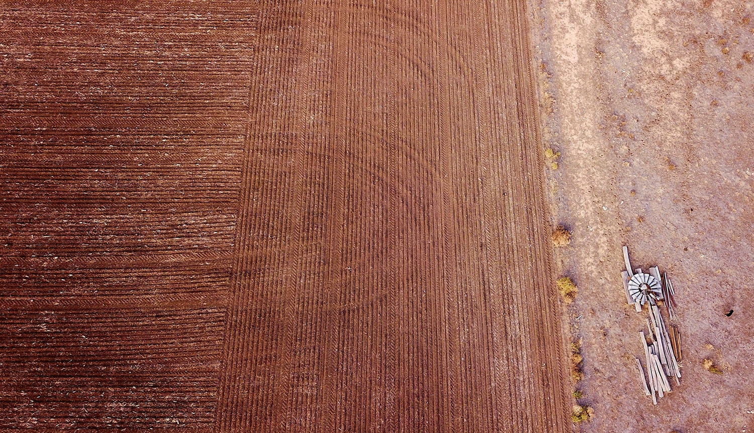  David Gray - Reuters 