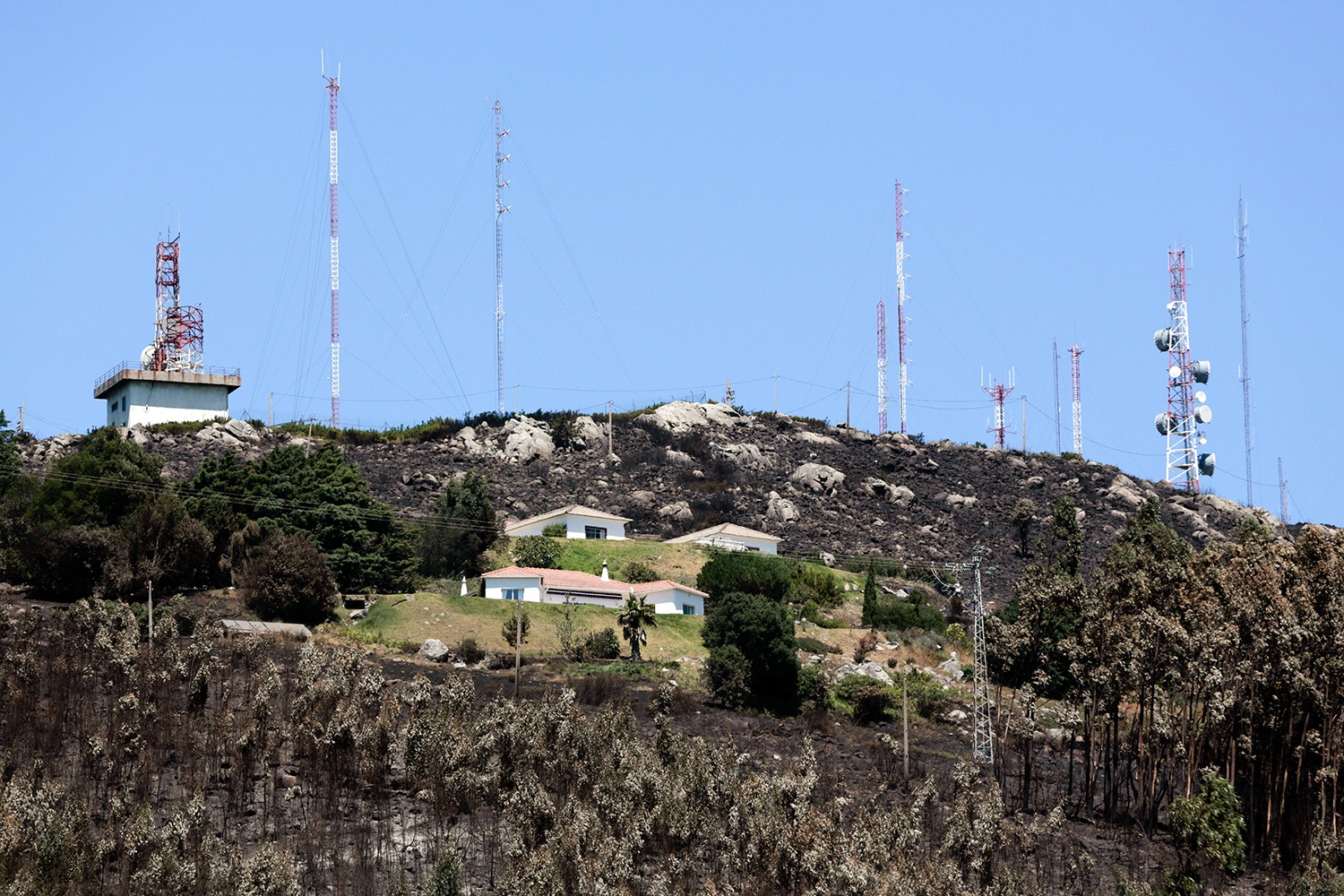  Alto da F&oacute;ia, Monchique /Filipe Farinha - Lusa 