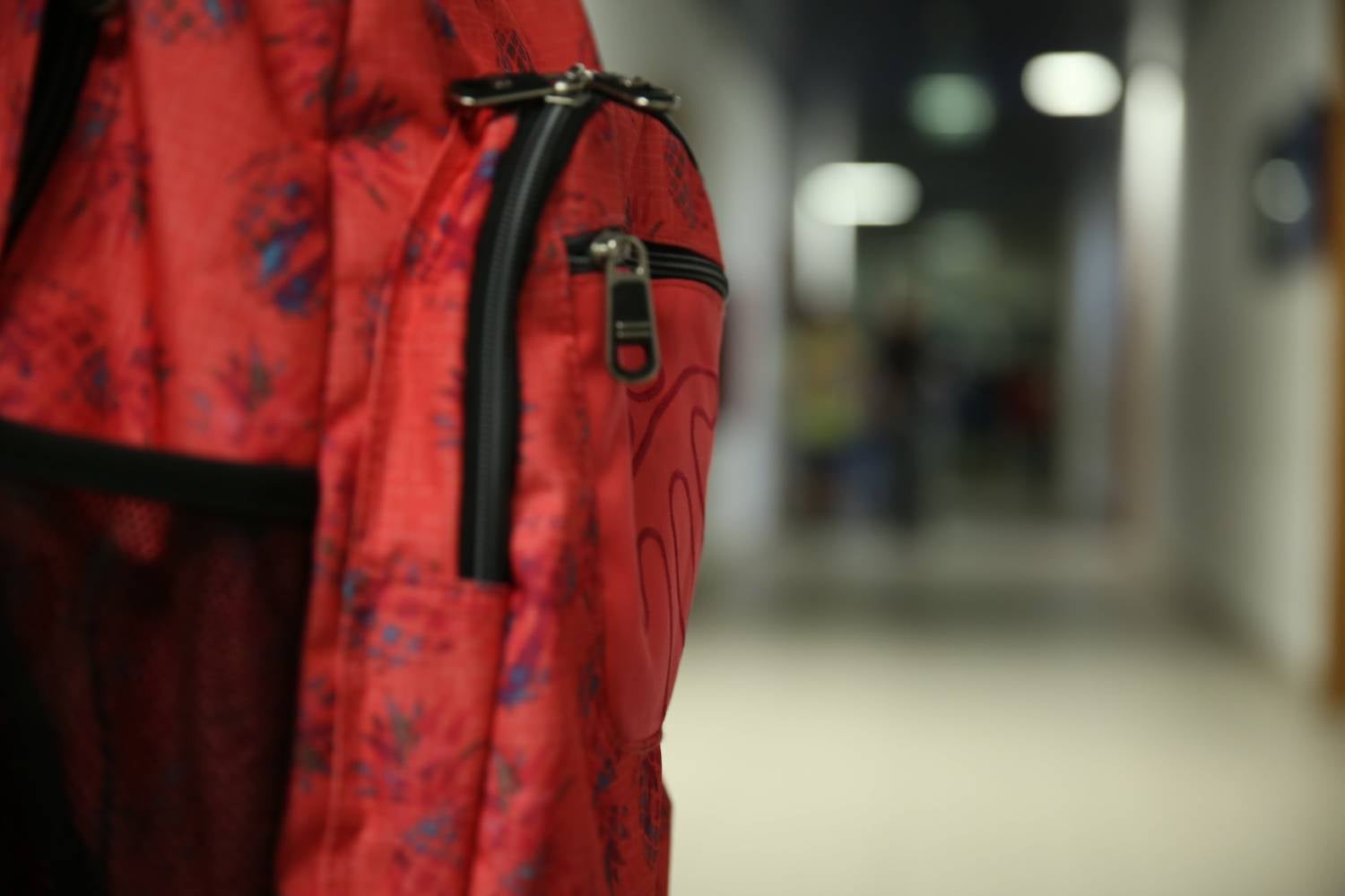 Um em cada cinco alunos frequenta o ensino privado