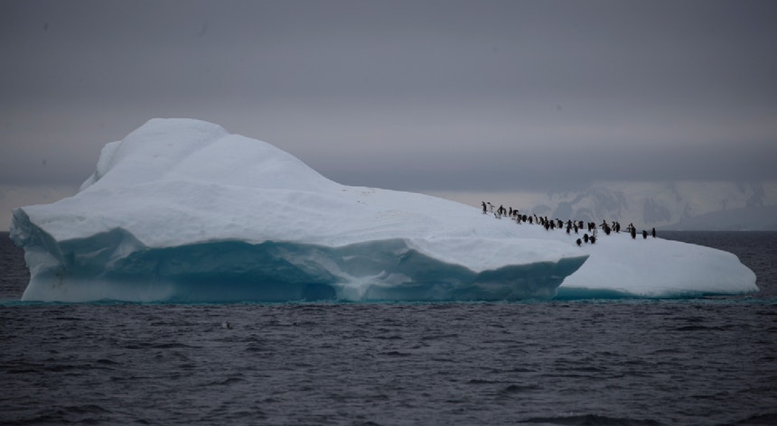 No início deste ano, foram pela primeira vez registadas temperaturas superiores a 20 graus centígrados na Antártida.
