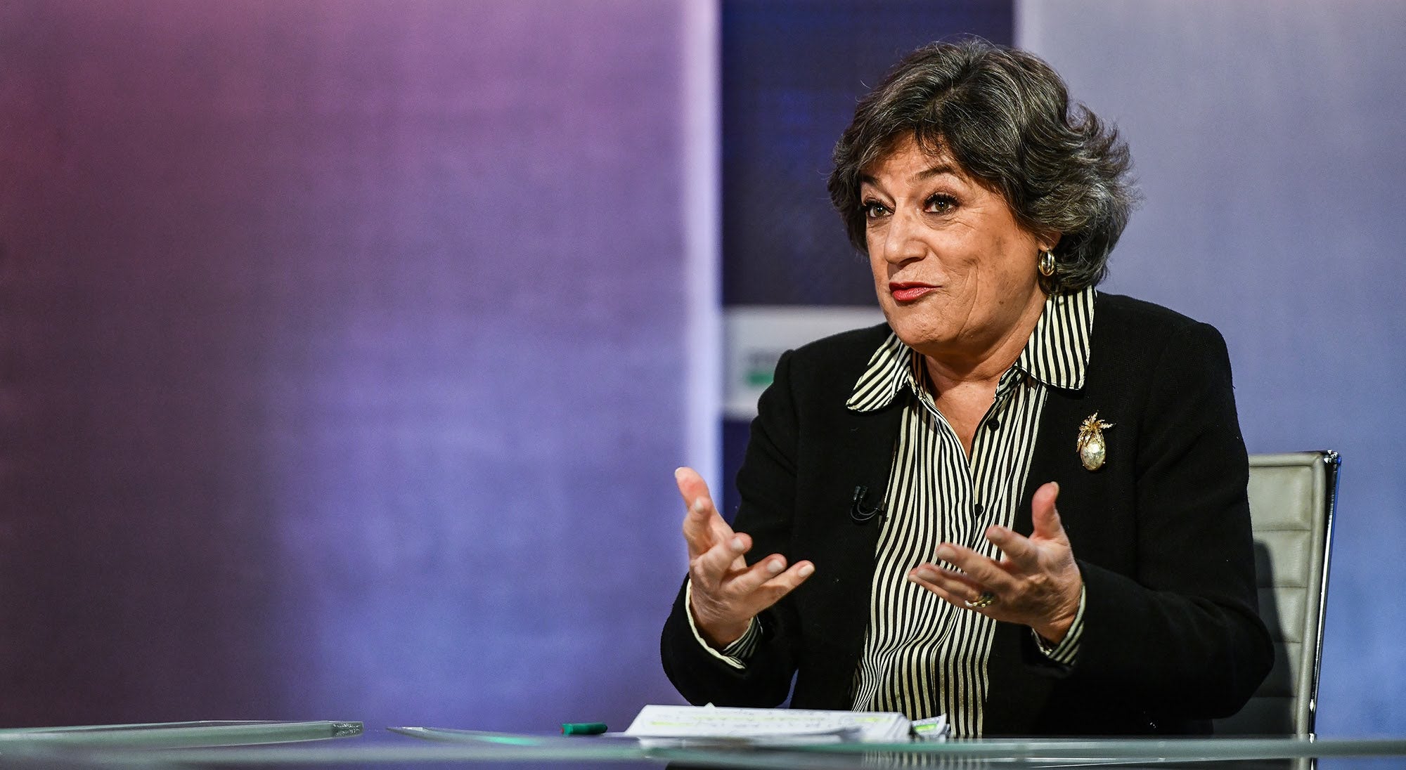 Procuradoria Europeia arquivou denúncia de Ana Gomes sobre Spinumviva