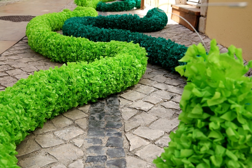  Nuno Patr&iacute;cio - RTP 