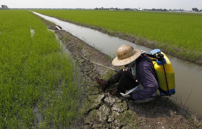 84% dos aquíferos portugueses contaminados com azoto e nitratos