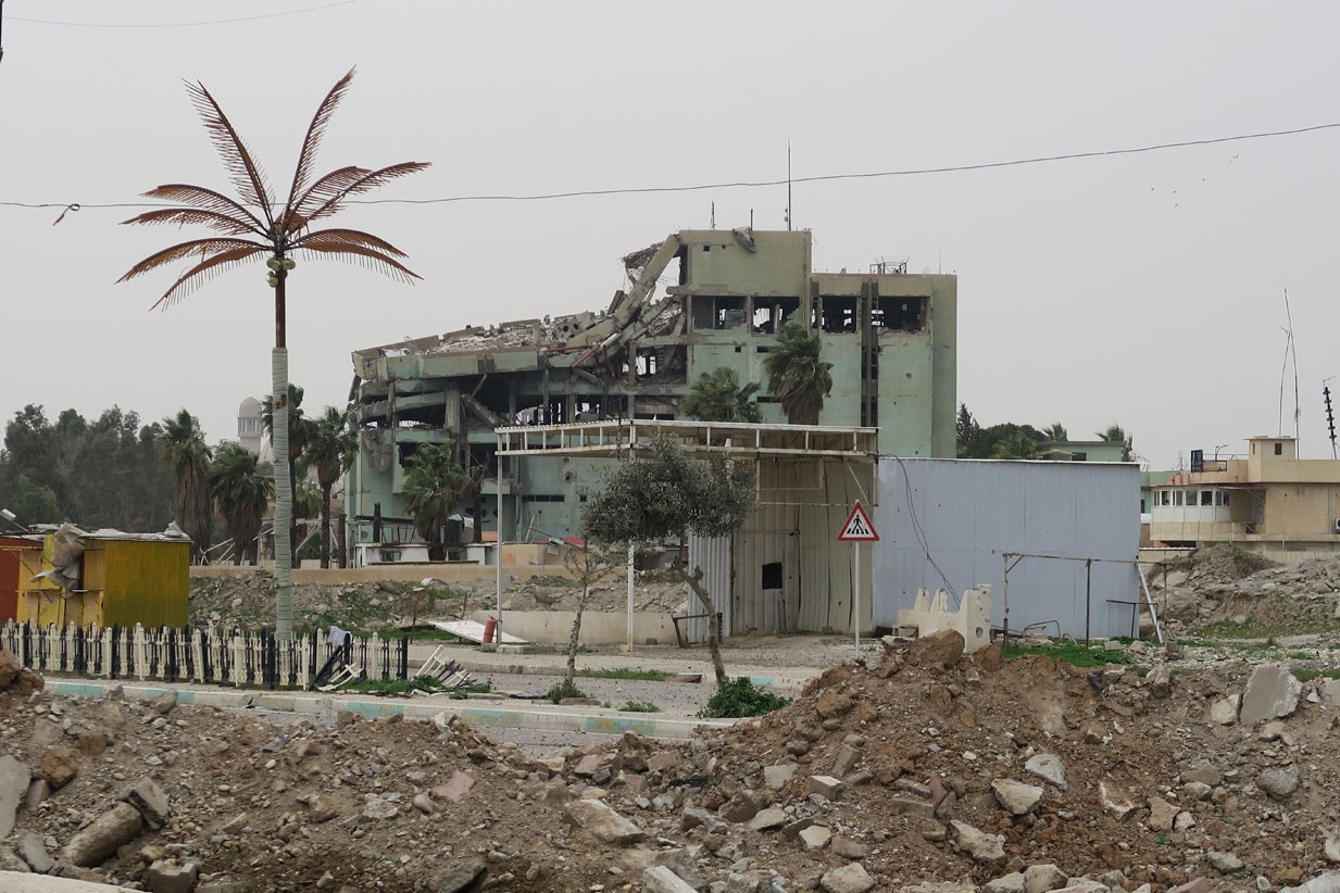  Amnesty International 