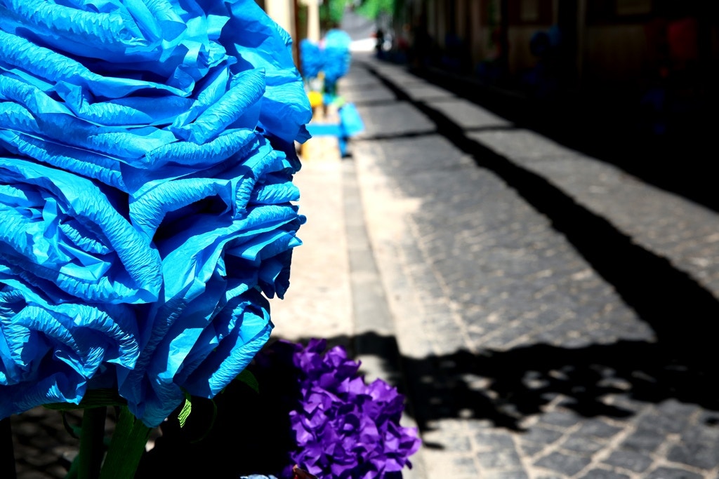  Nuno Patr&iacute;cio - RTP 