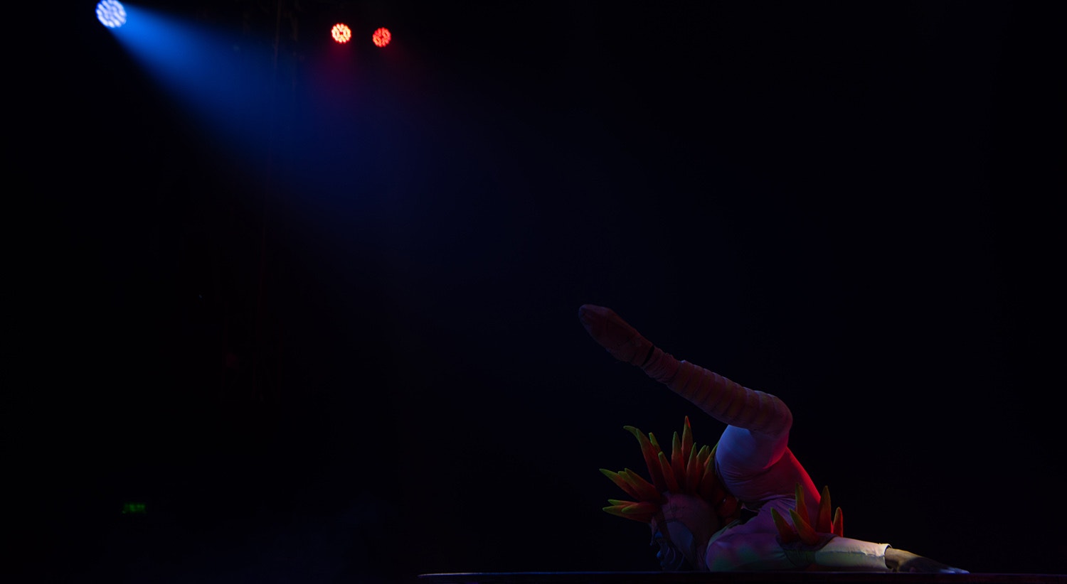  Foto: David Ara&uacute;jo - RTP 