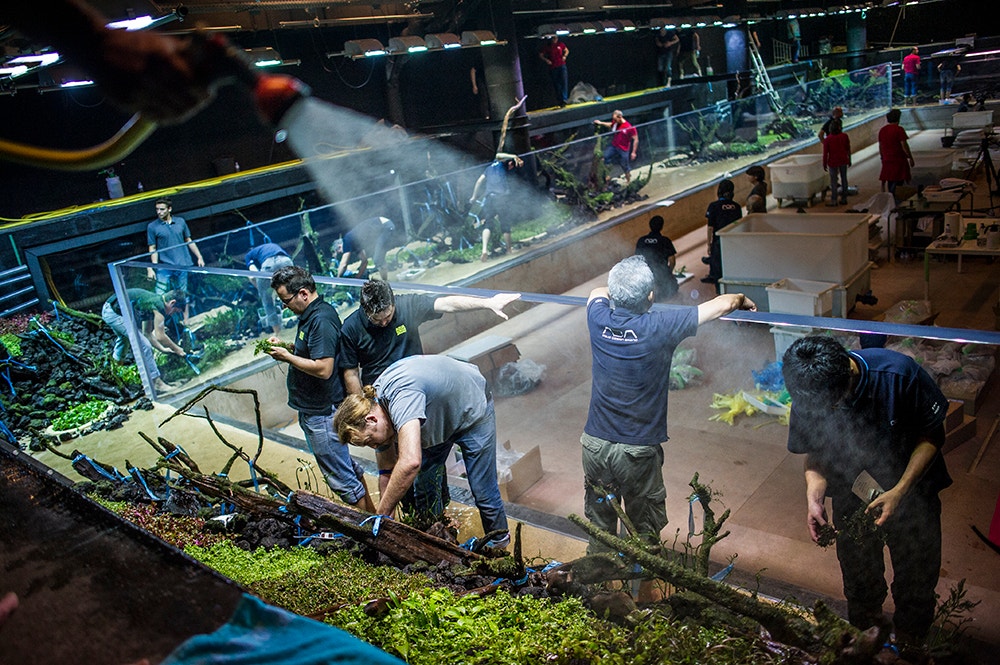  Pedro A. Pina / Ocean&aacute;rio  