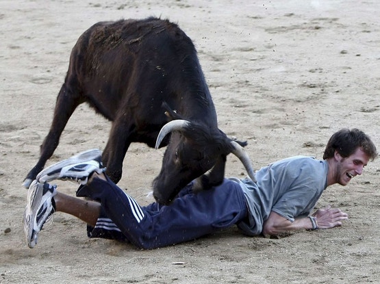 Imagem ilustrativa: Touro 1 - "Mozo" 0