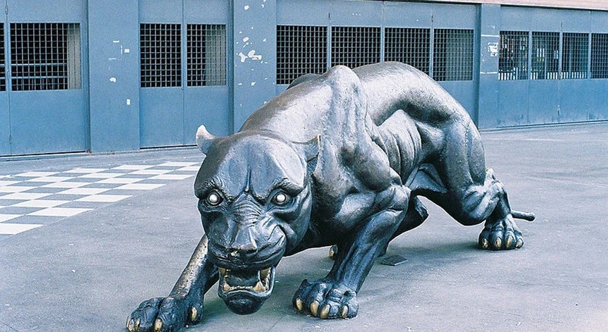 Imagem de Direção do Boavista rejeita tentativa de deslegitimação do seu mandato