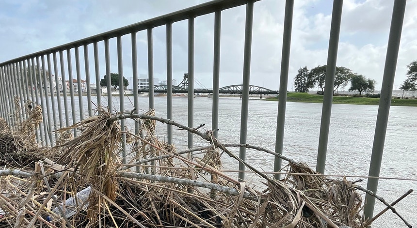 Imagem de A resposta aos danos e a evolução do estado do tempo ao minuto