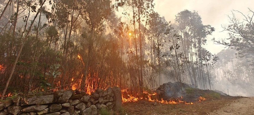 Imagem de Fogo em Vouzela complica-se com cinco frentes ativas