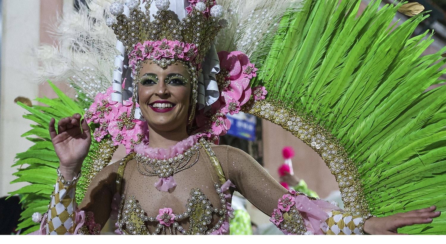  Portugal. Mealhada | Paulo Novais - Lusa 