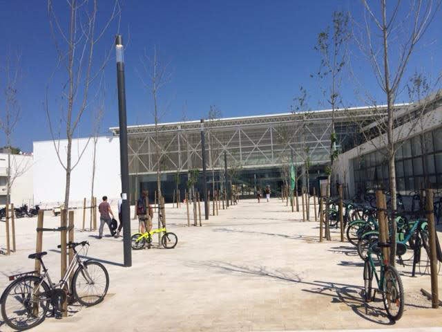 Universidade Nova de Lisboa quer explicações do ministro sobre alegado desejo de separação da Nova SBE